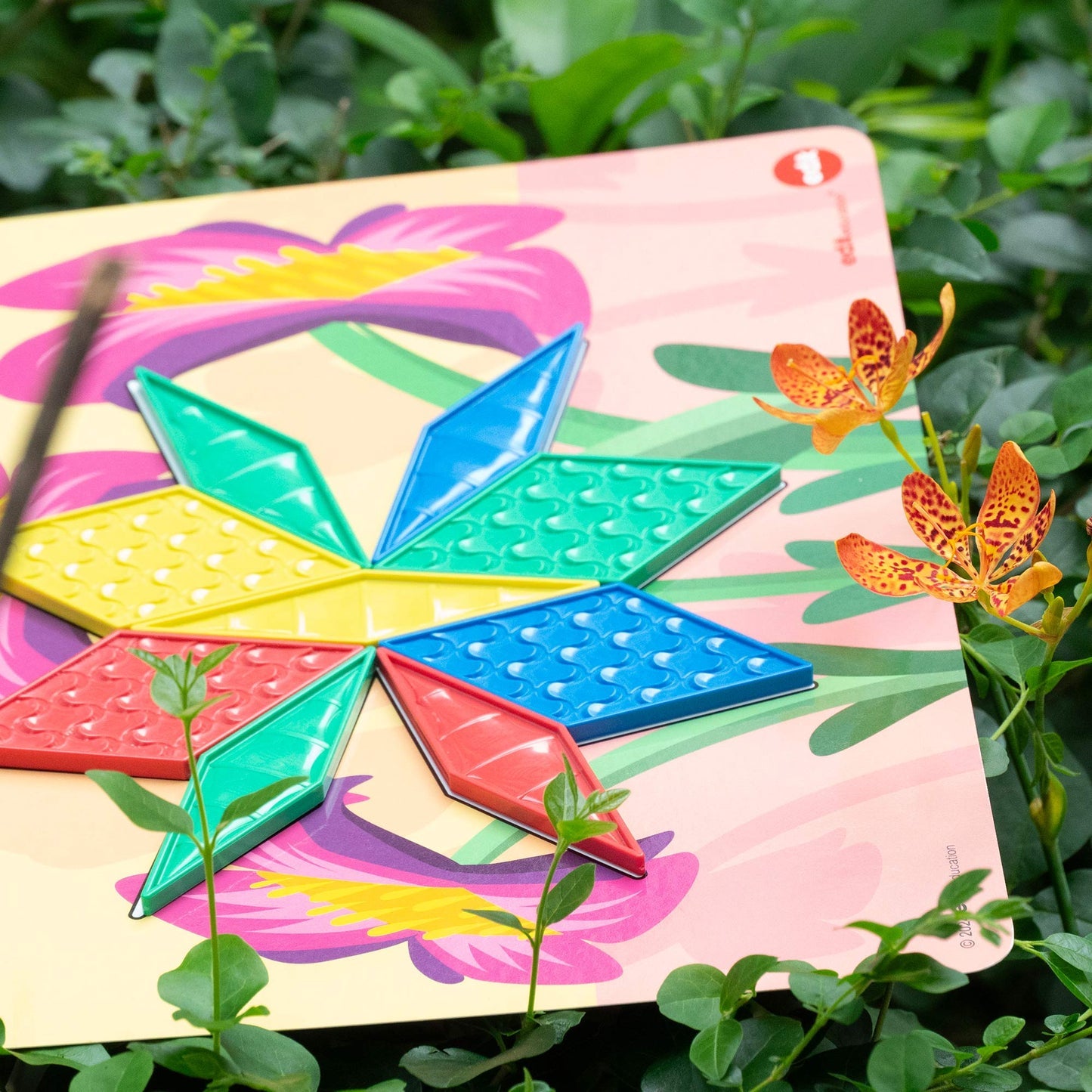 Green-n-Learn® Sensory Pattern Blocks